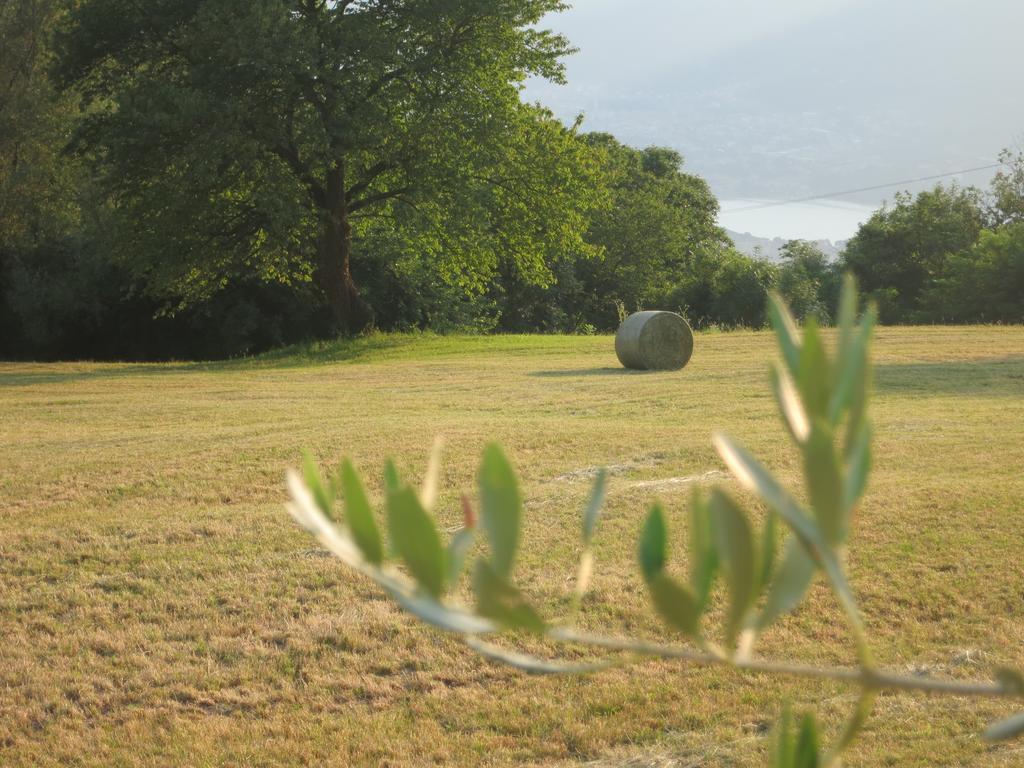 Agriturismo Deviscio Lecco Exteriér fotografie