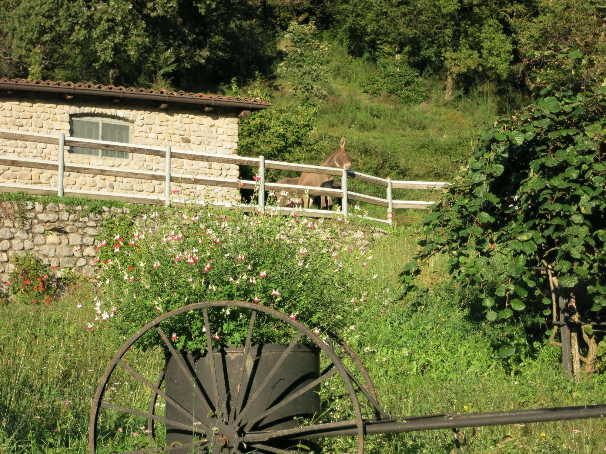 Agriturismo Deviscio Lecco Exteriér fotografie